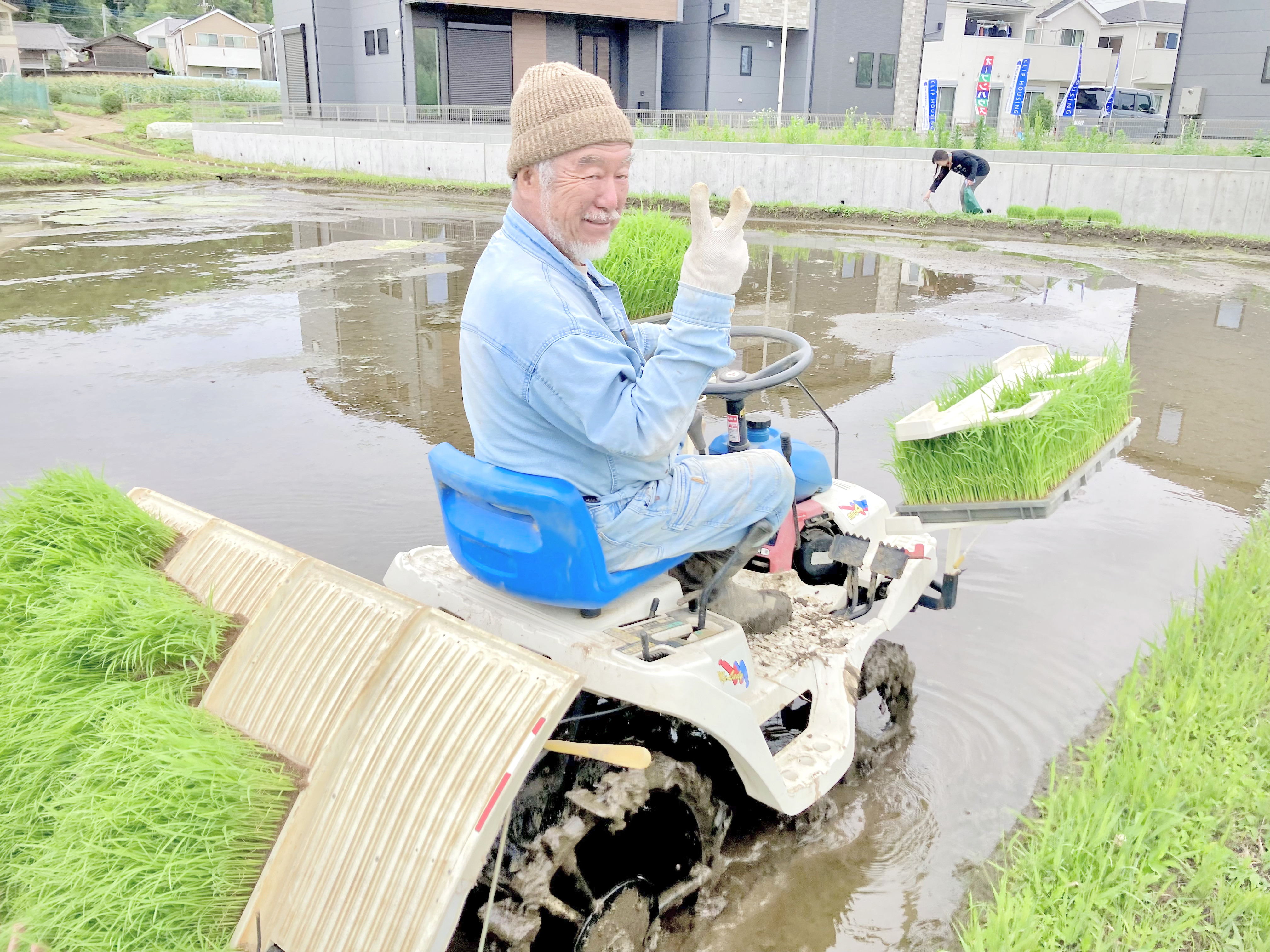 田植え