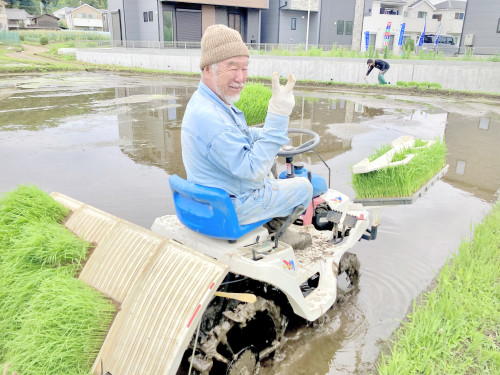 田植え