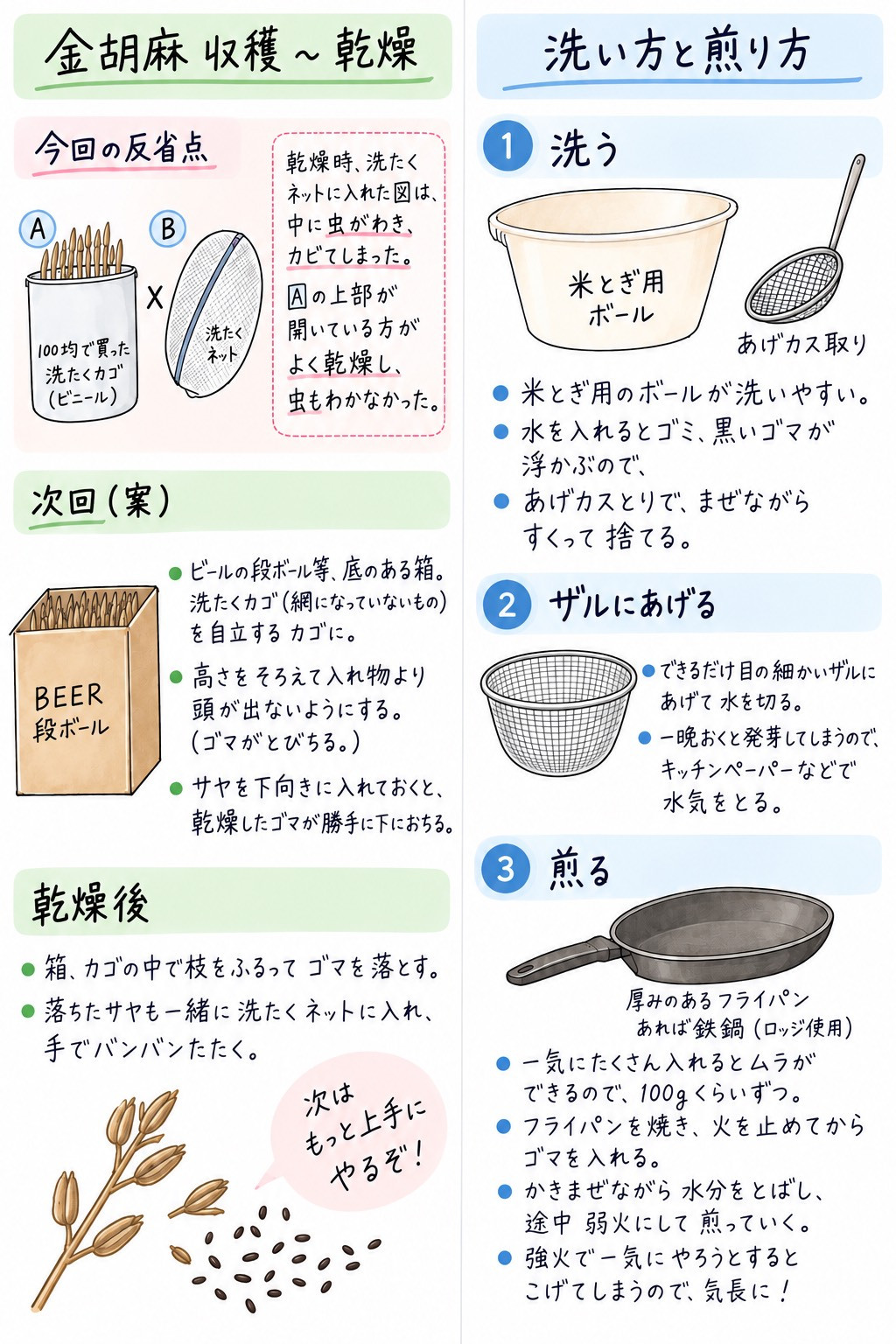 金ゴマの収穫