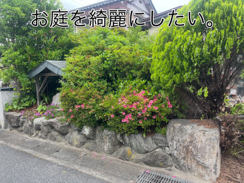 A02868F3-1EFE-48D0-81BB-6C83D4C190AF.jpeg