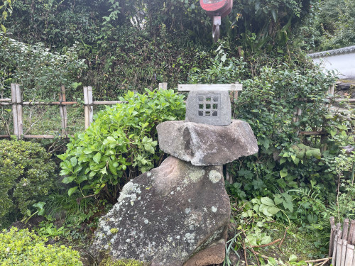 IMG_6849.jpeg