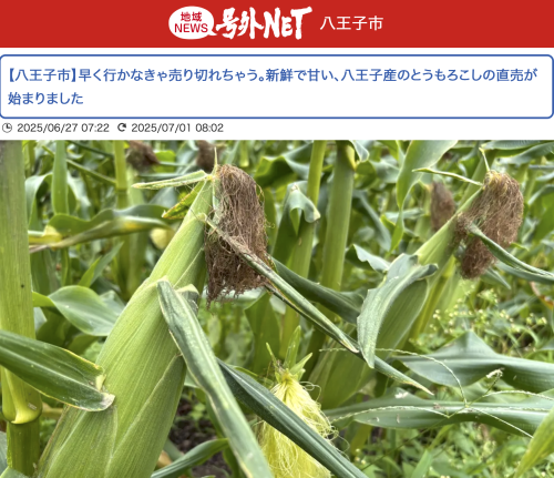 号外ネット八王子でご紹介いただきました