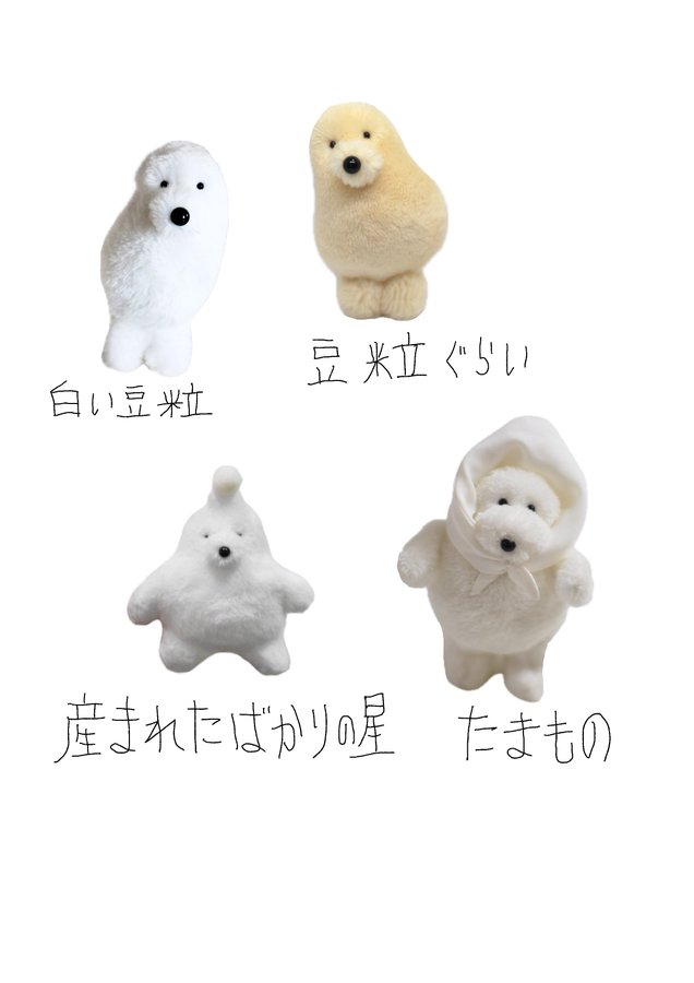 次】12.6 - 12.14 カネヒラ個展「たまもの の ゆめのこと」 - はちみせINFO