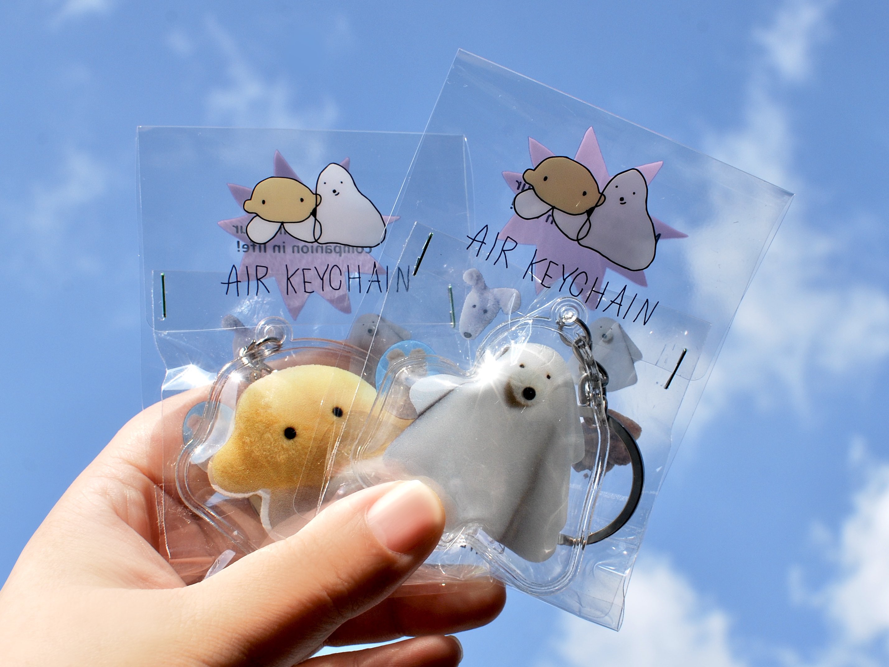 expo - はちみせINFO