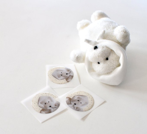 次】12.6 - 12.14 カネヒラ個展「たまもの の ゆめのこと」 - はちみせINFO