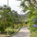 DSC_8887.JPG