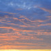 DSC_8868.JPG