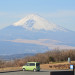 DSC_8731.JPG