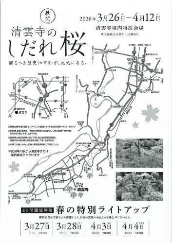 しだれ桜チラシ裏.jpg