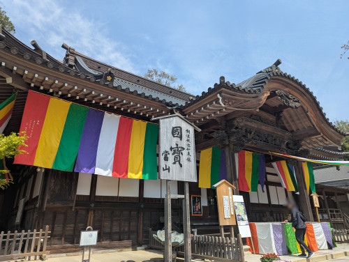 PXL_20250417_034610800.MP_ぼかし.jpg