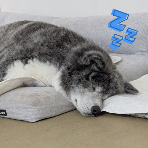 あお20260831.jpg