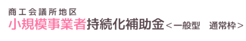 小規模事業者持続化補助金　第17回公募要領（第2版）が公開されました