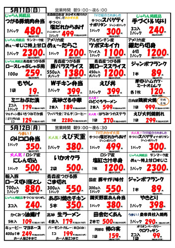 チラシ裏_page-0001.jpg