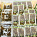 S__139657227_0.jpg