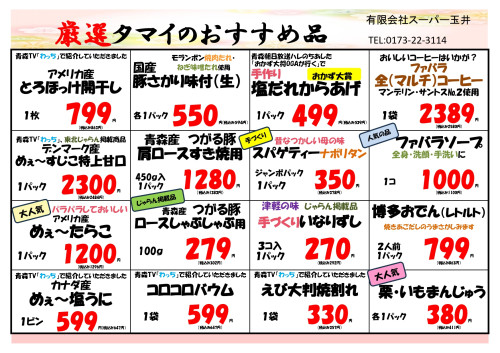 チラシ厳選.jpg
