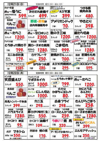 チラシ12.20～22_page-0002.jpg
