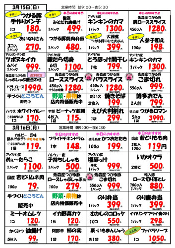 チラシ裏 3.15.16_page-0001.jpg