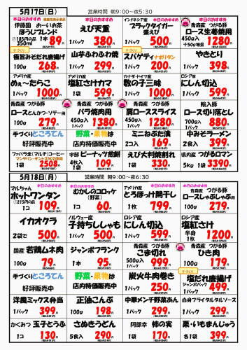 チラシ裏5.17.18_page-0001.JPG