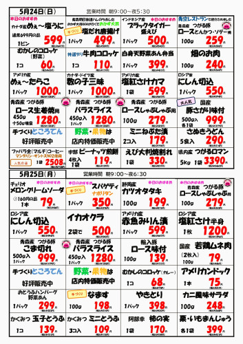 チラシ裏5.24.25.JPG