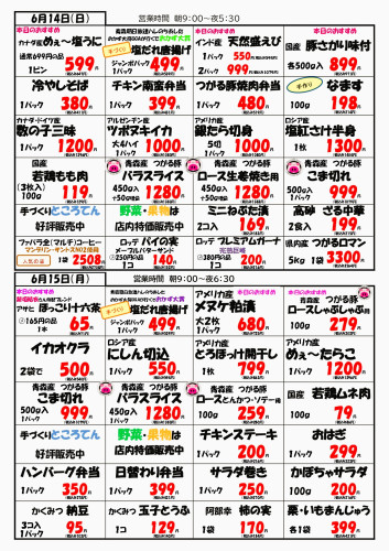 チラシ裏6.14.15.JPG