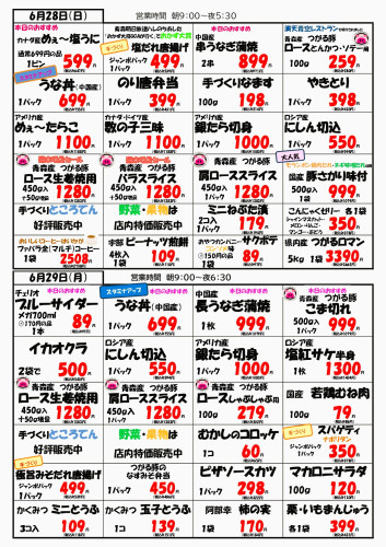 チラシ裏6.28.29.JPG