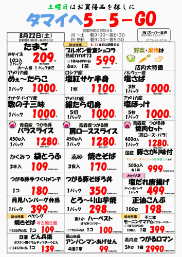 チラシ8.22.JPG