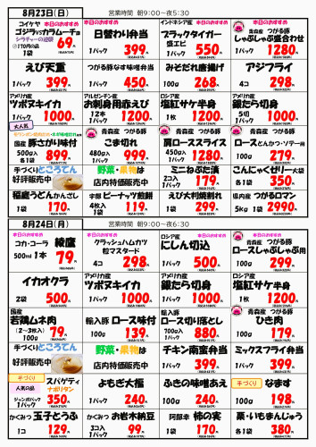 チラシ裏8.23.24.JPG