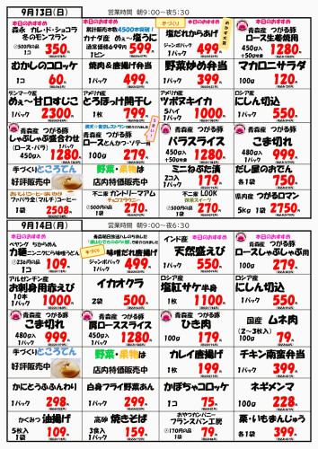 チラシ裏9.13.14_page-0001.jpg