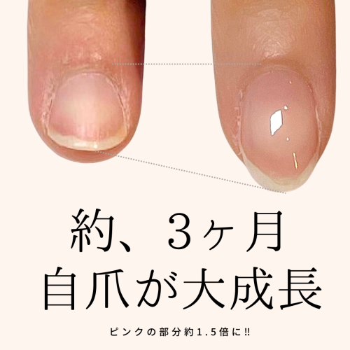 青 白 キャンペーン 美容 広告 インスタグラム投稿.zip - 1.png