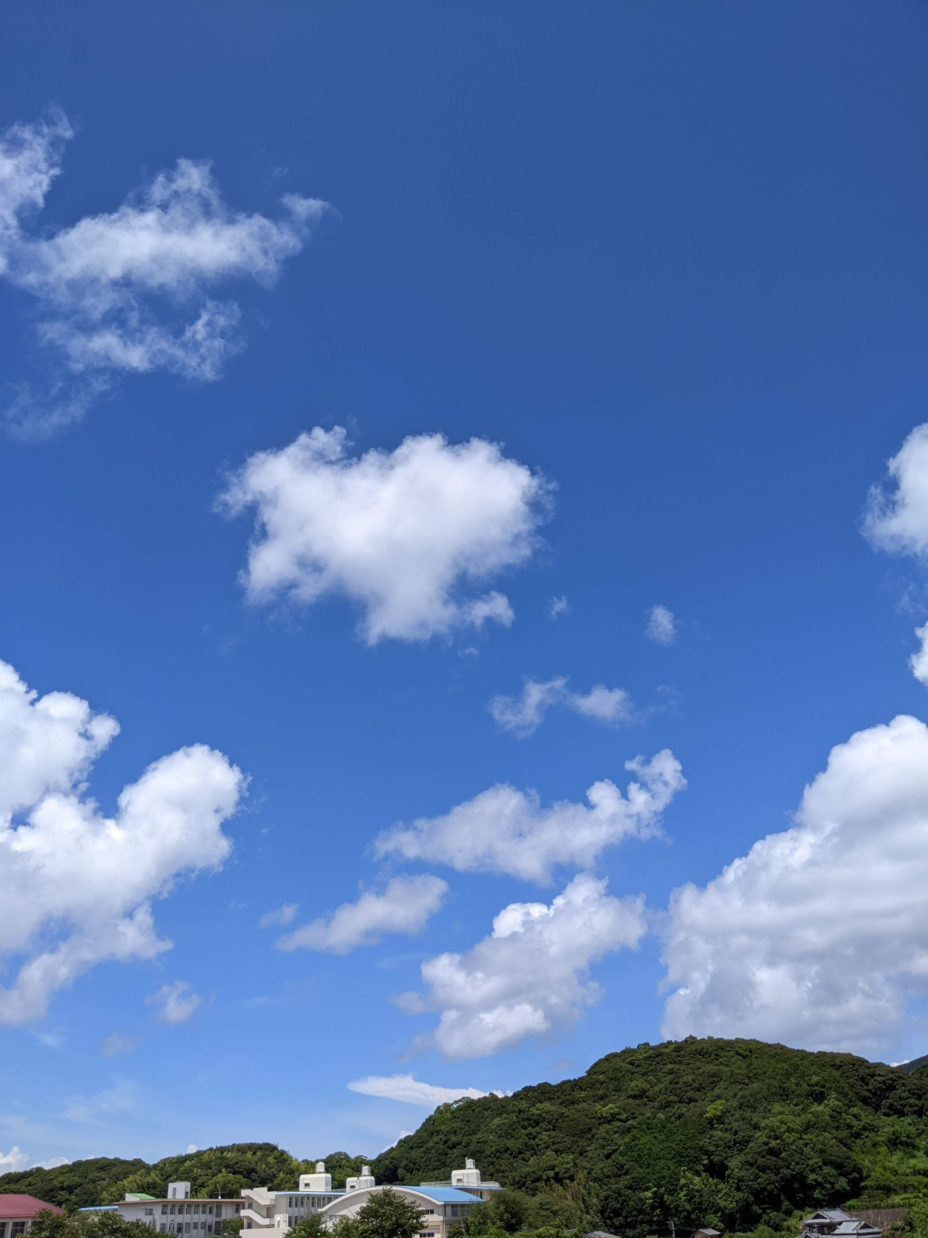 開店日