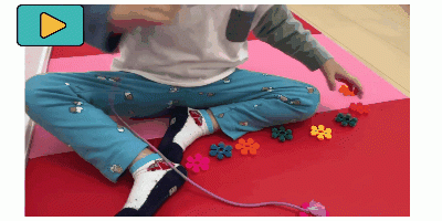 数えて、比べて、作業を通して数の学習♬