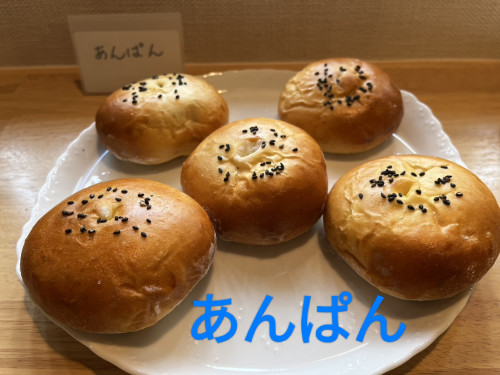 IMG_20241208_152106.jpg