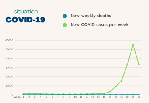 May_23_2025_covid_en.jpg