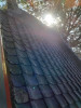62179_0.jpg