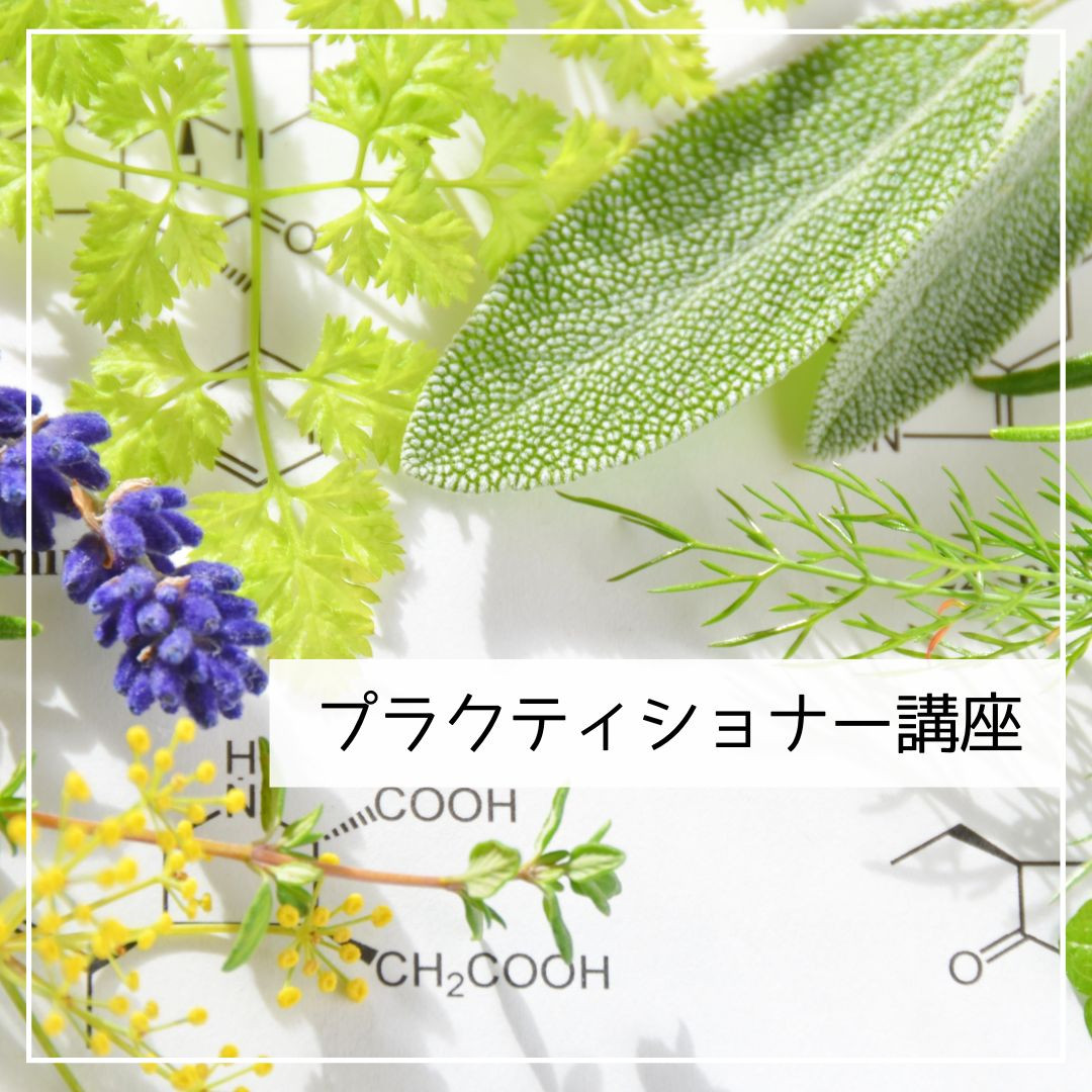 JAMHA認定 ハーバルプラクティショナーコース（全9日間） - ひだまりハーブガーデン＆スクール