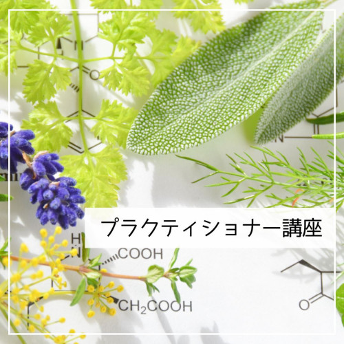 JAMHA認定　ハーバルプラクティショナーコース（全９日間）
