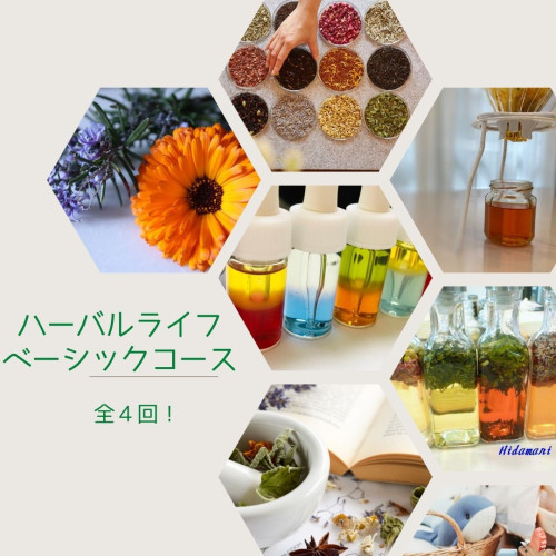 ハーバルライフベーシックコース.jpg