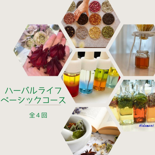 ハーバルライフベーシック講座.jpg