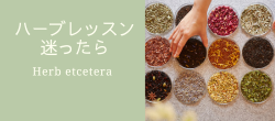レッスン、いろいろ迷ったら