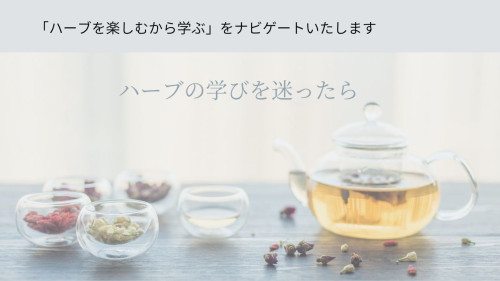 ハーブの学びを迷ったら (2).jpg