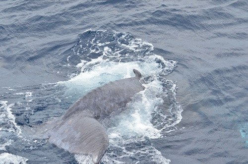 DSC_7593.JPG