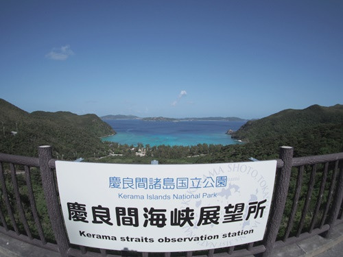 P1012130 - コピー.JPG