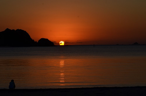 DSC_7155.JPG