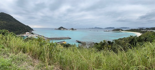 IMG_2376.jpg