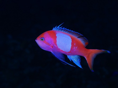P2066864.JPG