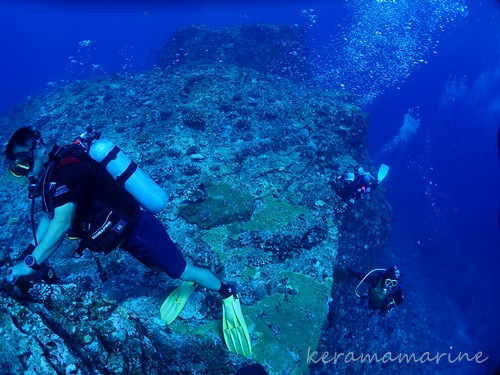 PA032113.JPG