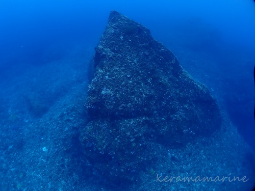 PA252539.JPG