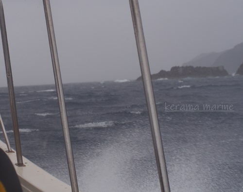 P1010246.JPG