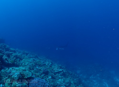 P3263632.JPG
