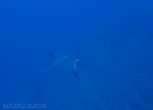 P1013861.JPG